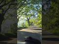 Episode 07 – Calm & Relaxing Drive on Scenic Roads 🚗🌿