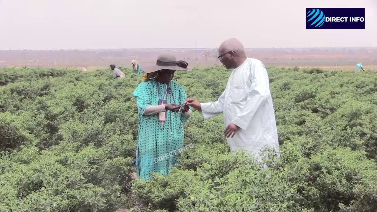 Visite du maire de Keur moussa à QVS:sans nourriture on ne peut pas construire une maison dixit....