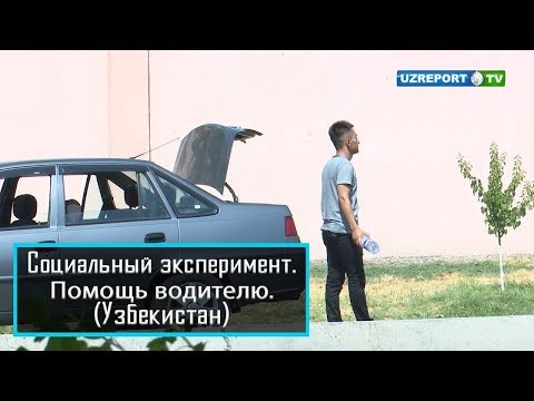 Помощь Водителю — Узбекистан (социальный эксперимень) #UydaQoling