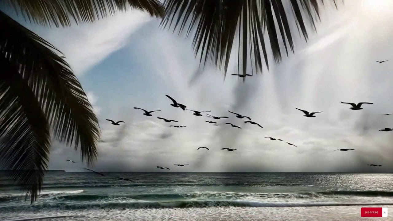 New Reggae Music Mix 2025  😘  Best Reggae Love Beach Songs ,Reggae Special Relax 26