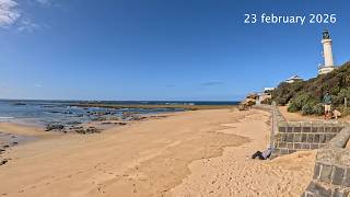 snorkel adventures point lonsdale 2026