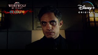 Werewolf by Night in Color | Now Streaming