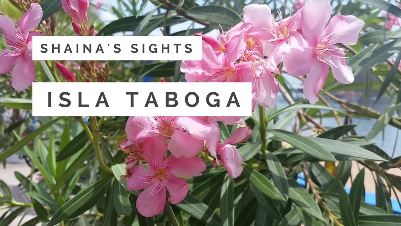 Exploring Isla Taboga | Panama