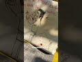 www. es – street artist Barcellona, graffiti video, urban art clip
