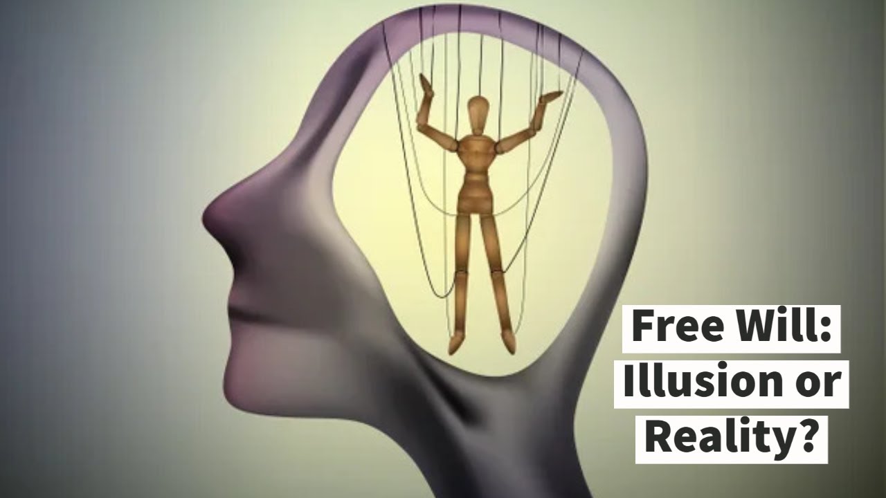 Video thumbnail — Free Will: Illusion or Reality?