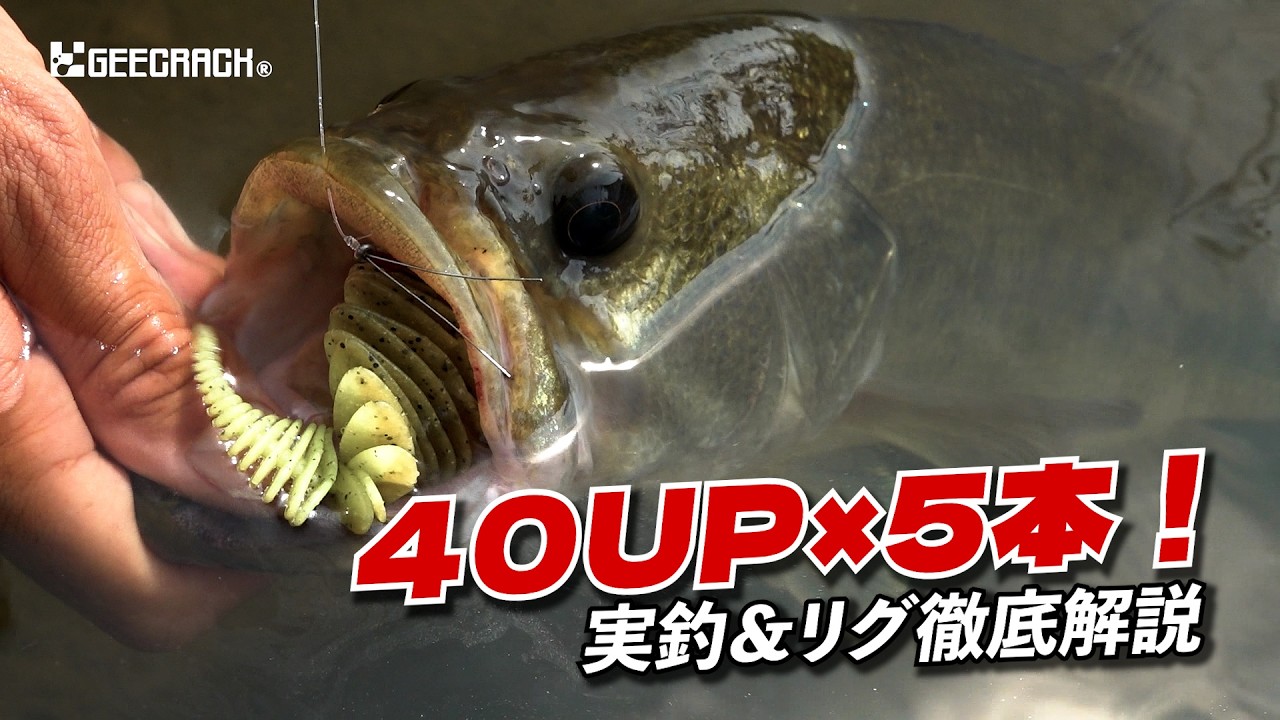 【バス釣り】五三川・大江川で40UP×5本！ベローズギル3.8ネコリグ徹底解説