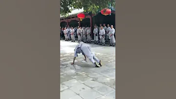 Shaolin Kungfu Snake Fist