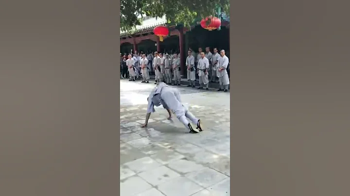 Shaolin Kungfu Snake Fist - DayDayNews