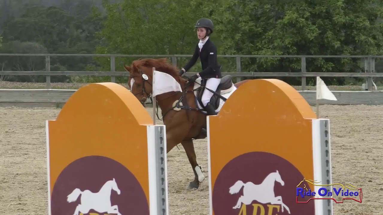  227S Michaela Maroney on Harbour The Truth JR Training Show Jumping Woodside May 2019