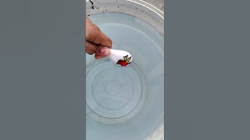 how to make an interesting 🤔 bird drawing 😁 on the spoon #shorts #viral #art