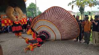 Download Lagu NGERI ‼️REOG PONOROGO BARONGAN TERBESAR SINGO MUDHO MANGGOLO PUTRO GEMPARKAN DESA GUPOLO BABADAN.... MP3