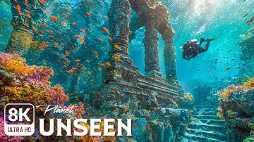 Into the Abyss | Unlocking the Ocean’s Deepest, Most Mysterious Worlds