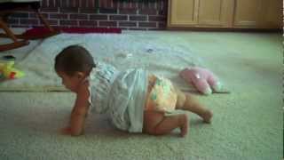 Ava Crawling July 31, 2012 002