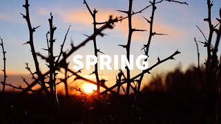 Summer Is Coming - Spring 2016