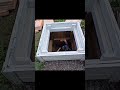 шотик про уринопоилку
