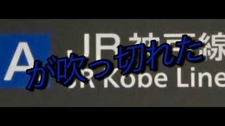 JR神戸線が　吹　っ　切　れ　た