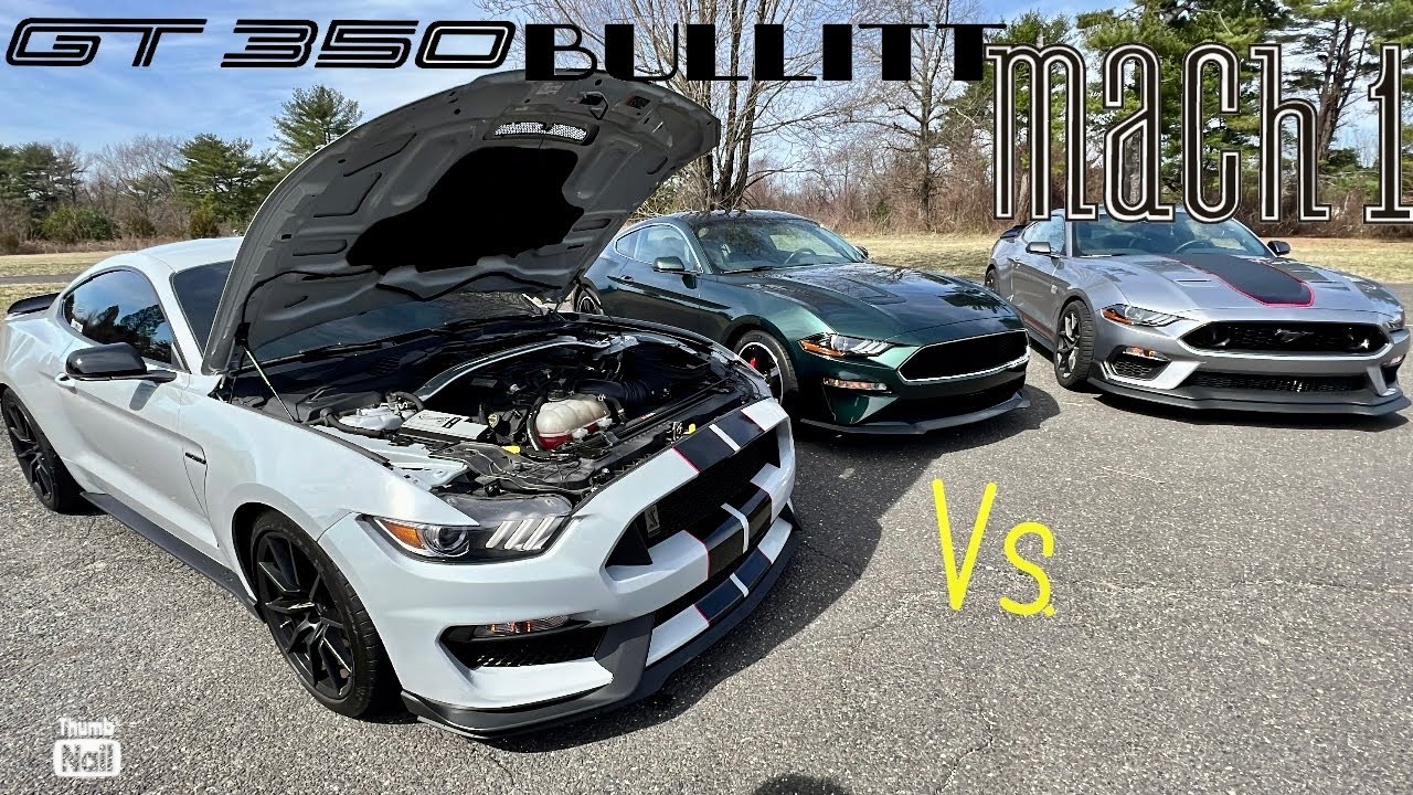 The Best Specialty Mustang is…BULLITT vs MACH-1 vs Shelby GT350!