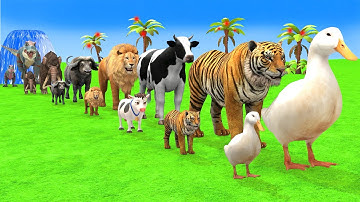 Long Slide Game With Elephant Gorilla Buffalo Hippopotamus Tiger 3d Animal Game Funny 3d Animals