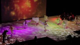 2011 Allied Arts Campaign Video