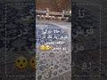 بزرگ ترین فرشی که دیدی چند متر بود این یکی یه چیز دیگه ست نظرتو بنویس Carpet بزرگ ترین فرشی که دیدی چند متر بود این یکی یه چیز دیگه ست نظرتو بنویس Carpet
