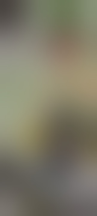 Maski mallikarjuna temple#MASKI#