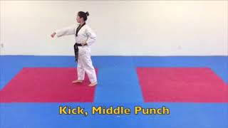 EAGLETKDLV • HIGH YELLOW BELT TAEGUK 1 JANG (HALF)