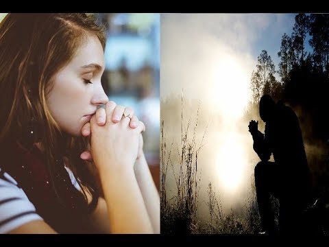 1 Hora Y 30 Musica Adventista Instrumental Para Orar Con Tomas De Animales Youtube