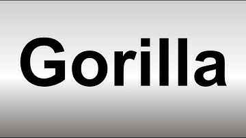 How to Pronounce Gorilla
