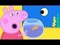 Peppa Pig Português Brasil 🐳 Animais Marinhos 🐳 HD | Desenhos Animados