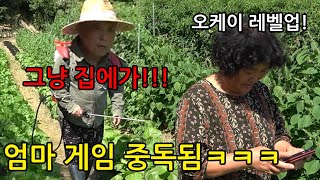 아빠 일하는데 엄마가 계속 게임만 했더니?ㅋㅋㅋ농약 뿌려버림ㅋㅋㅋ