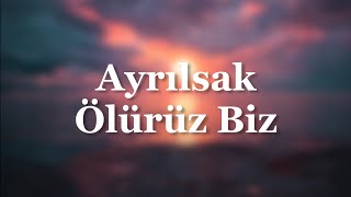 Ayrılsak Ölürüz Biz - Taner Resimi