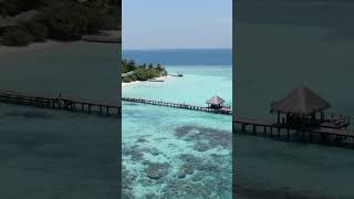المالديف أجمل جزر العالم ?️? Maldives