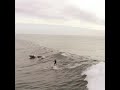 سباق في البحر بشكل مختلف Race In The Sea Differently