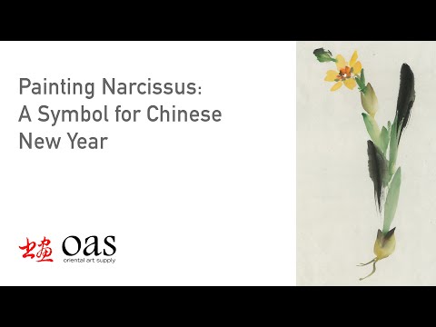 Video: NARCISSUS TUYỆT VỜI