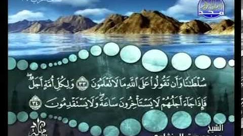 المصحف المرتل (كامل) - الجزء 8 من ختمة الأجزاء | القارئ محمد صديق المنشاوي