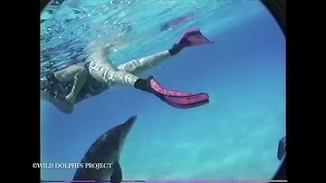 Rare Behavior Blog Series "Bubbles" (1 of 2)