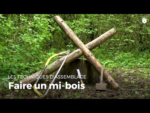 Vidéo: Évadez-vous Dans Les Bois Avec Votre Propre Kit De Cabane En Rondins