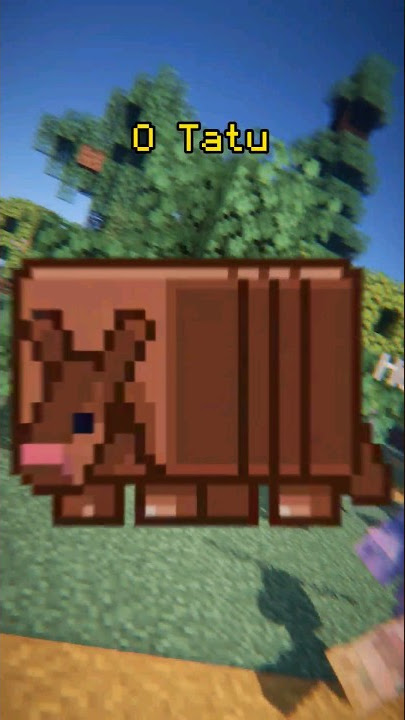 minecraft tatu bola