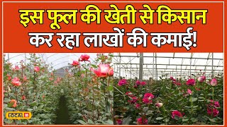 Farming Tips: गर्मी के सीजन में इस फूल की खेती कर किसानों को हो रहा लाखों का मुनाफा! #local18