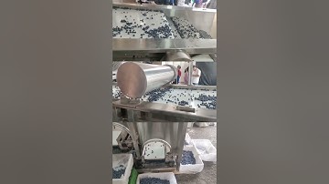 Blueberry sorting machine grading and processing calibration size sorter grader fruit classifier