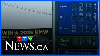 Celebrity Trump administration ‘will realize how important Canadian oil is’ amid soaring gas prices: economist Net Worth