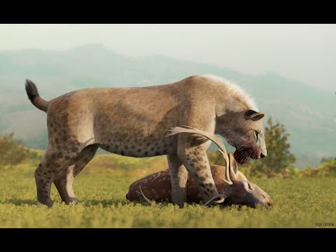 Homotherium: The Scimitar Cat