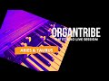 ORGANTRIBE Live! | ARIES &amp; TAURUS (Bruno Erminero)