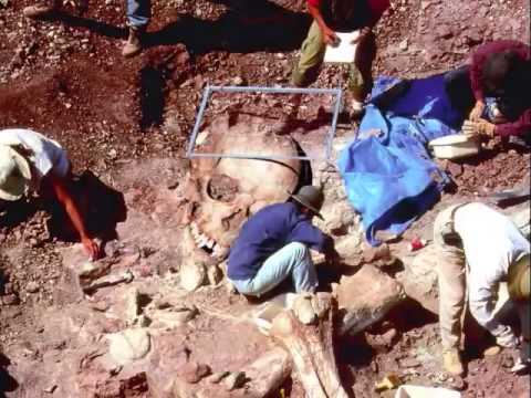 Vidéo: Les Archéologues Ingouches Ont Découvert Le Squelette D'une Femme Ancienne Avec Un Crâne D'une Forme Inhabituellement Allongée - Vue Alternative