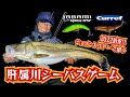 2022年新作ルアーで狙う 肝属シーバス