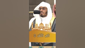 سورة التين الشيخ ياسر الدوسري | #قرآن #yasseraldosary #ياسر_الدوسري