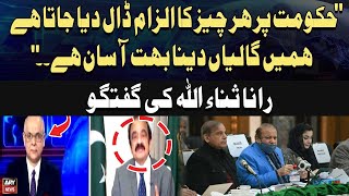 The Government is Blamed for Everything, It's Easy to Ab*se Us - Rana Sanaullah Statement
