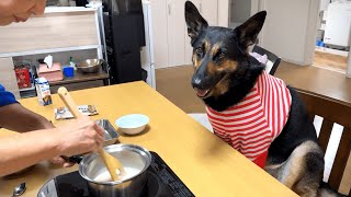 The Warabi Mochi that Grandma made for dog is very easy to make and incredibly delicious!