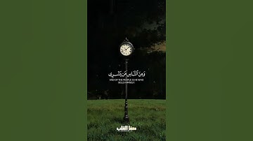 وَإِذَا قِيلَ لَهُ اتَّقِ اللَّهَ أَخَذَتْهُ الْعِزَّةُ بِالْإِثْمِ | سورة البقرة ٢٠٦