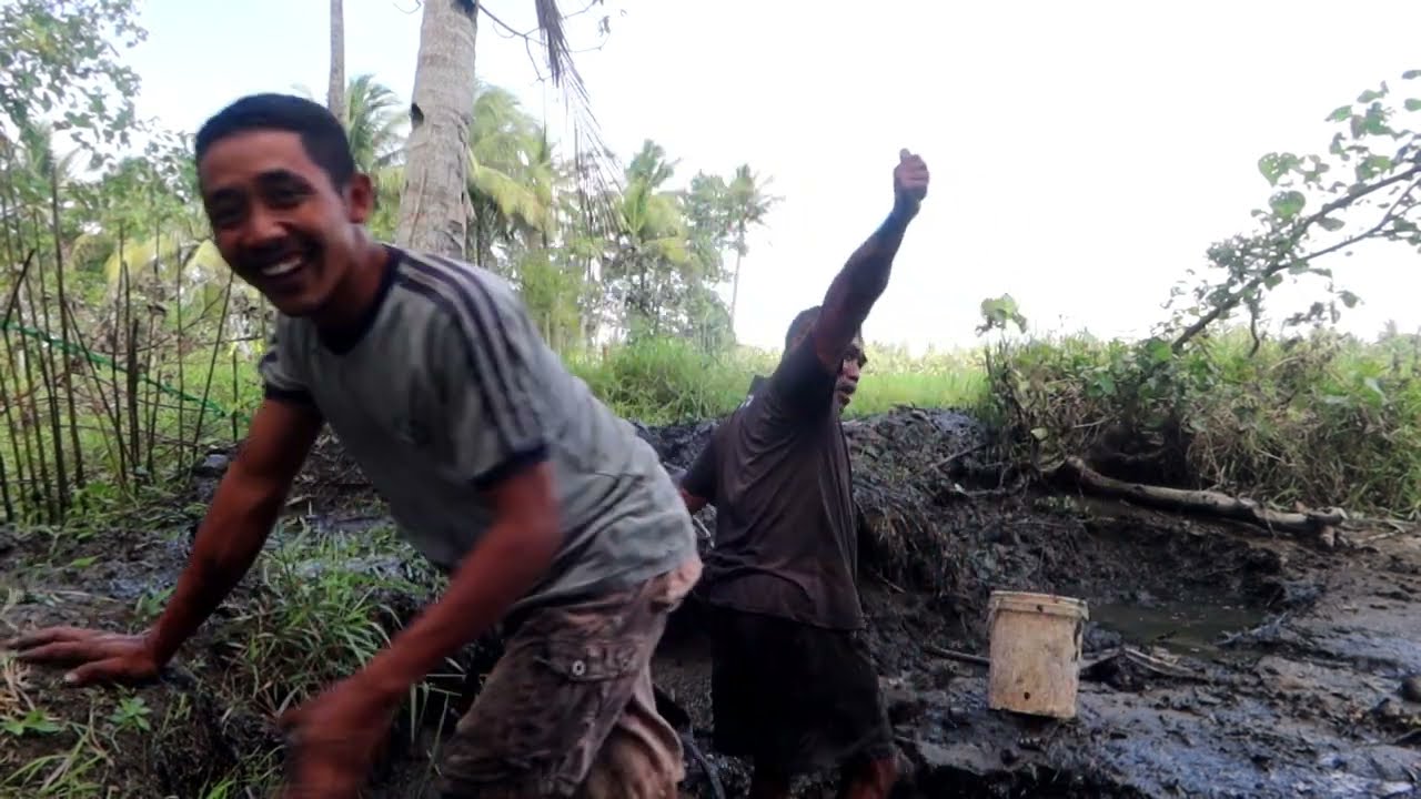 Kalang kabut!!?? sampai kewalahan gegara nangkap ikan RAKSASA//panen raya dimusim kemarau